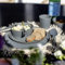 CONNECT SET HELSINKI Geschirrset 10-teilig 10er-Set