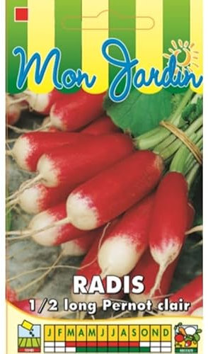 Sachet de graines de Radis Pernot clair - 10 g - légume racine - LES GRAINES BOCQUET