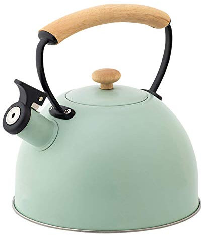Hervidor Silbato 2,5 L Con Asas Para Cocción Por Inducción, Cocina A Gas, Horno Cerámico Eléctrico, Acero Inoxidable-Verde