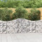 Tidyard Gabione mit Hochbogen Gabionenkorb Gabionenwand Gabionenkörbe Gabionenhaken Säulengabione Steinzaun Steinkorb Steingabionen Drahtkorb Gabionenzaun 200x30x80/100 cm Verzinktes Eisen-4238