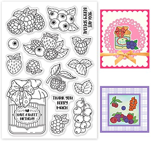 BENECREAT Fruit Clear Stamps, Berry Raspberry Leaves Transparent Silicone Stamps for Card Making Decoration and DIY Scrapbooking Album, 6.3x4.3Inch