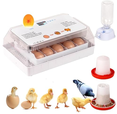MUALROUS 15 Egg Incubator Chicken Eggs Hatching Machine Automatic Digital Mini Home Hatching Equipment with LED Light Egg Candler Tester and Temperature Control for Chicken Duck Quail Bird