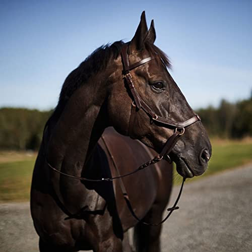 HORZE Pferde Trense Orlando anatomisch, gebisslose Trense, Zaumzeug mit Zügel, Braun, F