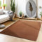 Teppium rutschfest Kurzflor Teppich Wohnzimmer 120 x 170 cm Braun - Waschbarer und Flauschiger Teppich Extra Weich - Modern Einfarbig Teppich für Schlafzimmer, Kinderzimmer, Esszimmer und Küche