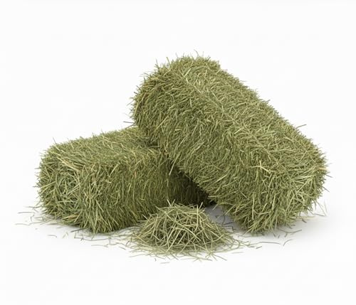 Erba Medica (Alfa Alfa) 15 kg | Fieno Naturale Erba Medica | Ricco di Fibre, Proteine e Calcio | Ideale Cavalli, Leporoidi, Ovini, Caprini, Conigli, Criceti, Piccoli Roditori | Miglior Qualità