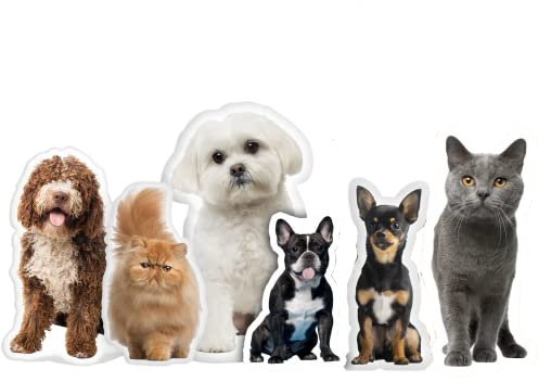 Eletizy Oreillers personnalisés en Forme d'animaux de Compagnie, Oreiller drôle personnalisé avec Animal de Compagnie/Photo/Personnes, Impression 3D Double Face,pour Anniversaire,Noël,Hallowe (20cm)