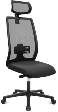 Living Chairs Basic 20 - Sedia da ufficio con tecnologia Air+, ergonomica ed economica, meccanismo sincronizzato, schienale in rete, Made in Germany, ottimo rapporto qualità-prezzo (nero + poggiatesta