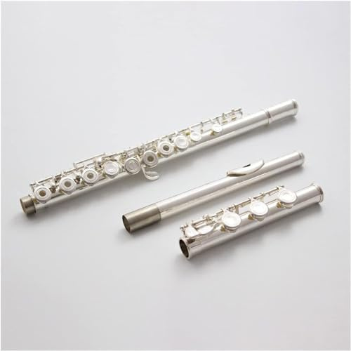 LABLADUO Flöjter, flöjter musikinstrument student flöjter silver ben B 17 hål öppen flöjt musikinstrument