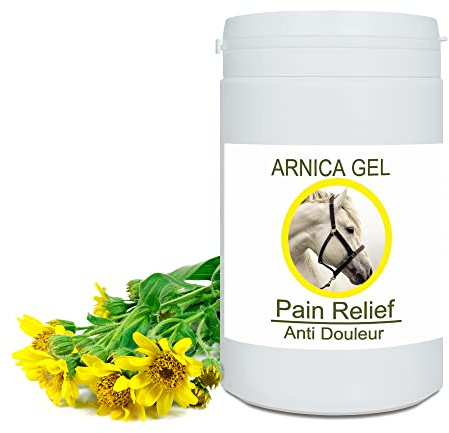 Arnica Gel FORTE & Concentrato 90% di Estratto di Arnica BIO da Agricoltura Biologica. Gel Massaggi Muscolari e Articolari. Idratante per la Pelle - 1000 g