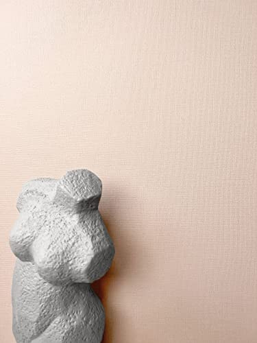 NEWROOM Papier peint Rose Couleur Unie Intissé - Couleurs Unies Rose poudré Fard à joues Structure Textile