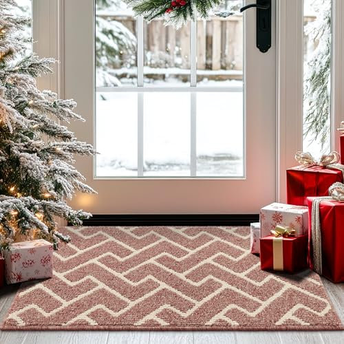 Biscpro Indoor Door Mats,60x90cm Door Mat Non Slip Backing,Dirt Trapper Mat Absorbent Non-Slip Doormat for Entrance,Inside,Kitchen,Front Back Door,Pets and Garden-Dark Pink