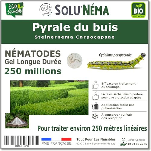 SOLUNEMA - Nématodes contre la pyrale du buis - 250 Millions Longue Durée