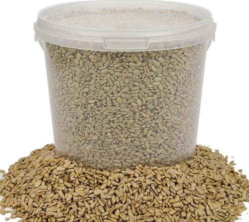 BusyBeaks Sunflower Hearts Wild Bird Food | Finest Bakery-Grade Garden Seed Mix | Husk Free and Dehulled No Mess Seeds | Nutritious Natural and Healthy Feed Mixture | Balanced Vitamin Recipe (10L Tub)