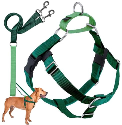 2 Hounds Design Freedom No Pull Dog Harness, Adjustable Harness and Leash Set, Easy Walking & Comfortable Control, Fits Small, Medium & Large Dogs, Solid Colors, Made in USA, 1 LG, Kelly Green