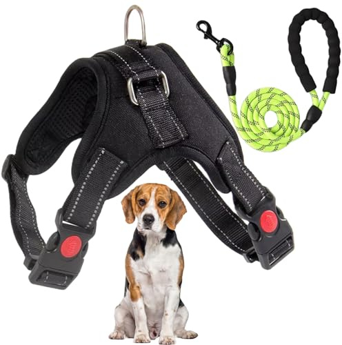Imbracatura per cani medi, anti-tiraggio, regolabile con tessuto traspirante e bottoni di sicurezza. Include cinghia rinforzata. Ideale come accessori per cani medi. (Verde M)