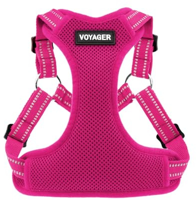 Voyager Step-in Flex Adjustable Dog Harness - Fuchsia, Small