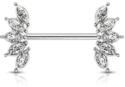 beyoutifulthings Brustwarzen- und Nippel-Piercing Chirurgenstahl Silber Clear Stab 1,6/16mm