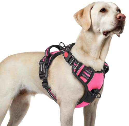 rabbitgoo Pettorina Cane Taglia Media con Aperto sul Collo, Antifuga Pettorina ad H, Maniglia Rinforzata e Bande Riflettenti per Cani Grandi, Ideale per Passeggiate e Addestramento, Rosa Rossa, L