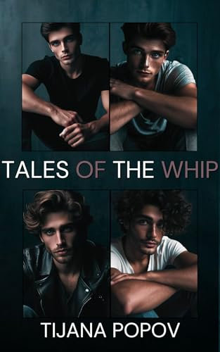 Tales of The Whip series : A gay, BDSM romance collection (books 1-4) (English Edition)