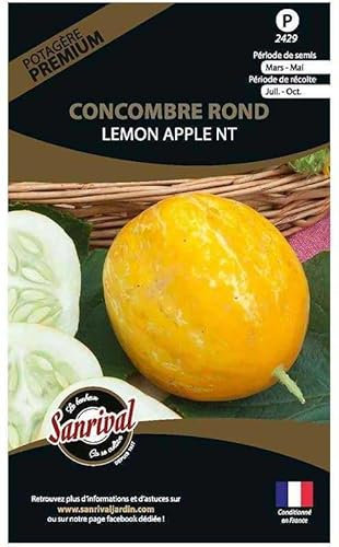 Graines potagères Premium Concombre Rond Lemon Apple Rond Lemon Apple