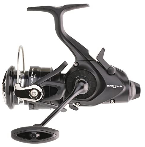 DAIWA 19 Black Widow BR LT 3000