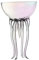 Novelty Glasses Wine Glasses Drinks Cup Jellyfish Glass Cup for Banquet Wedding, Colorful