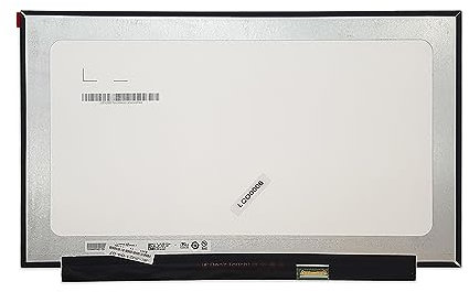 new net - Pannello Schermo Display LCD IPS Compatibile con Notebook MSI GF63 (8RC, 8RD), P65 Creator (8RD, 8RE), PS63 Modern (8RC), WS65 (8SK) [15.6 Pollici - FHD 1920x1080-30 Pin - 60Hz]