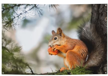 Bandera divertida y esponjosa de ardilla gorda para comer nueces en la rama del árbol, un lado, para colgar en casa, césped, decoración de patio, banderas de bienvenida para uso en interiores y