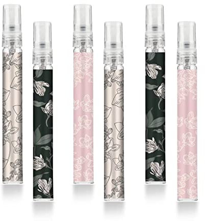 6 pezzi portatile viaggio ricaricabile profumo atomizzatore bottiglia, 10ml profumo atomizzatore bottiglie, fragranza bottiglia spray, fragranza pompa caso per le donne e gli uomini