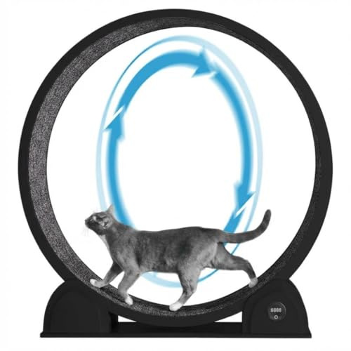 Roue d'exercice pour Chat 114 cm avec Compteur de Pas