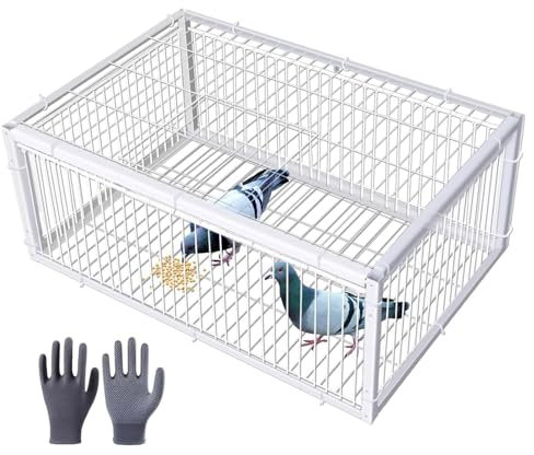 DEOPXF Trampa para pájaros y palomas, jaula de metal para animales pequeños vivos, trampa con entrada unidireccional, puerta portátil para gallinero, espacio de 2 cm para tejados, patios, jardines(40x