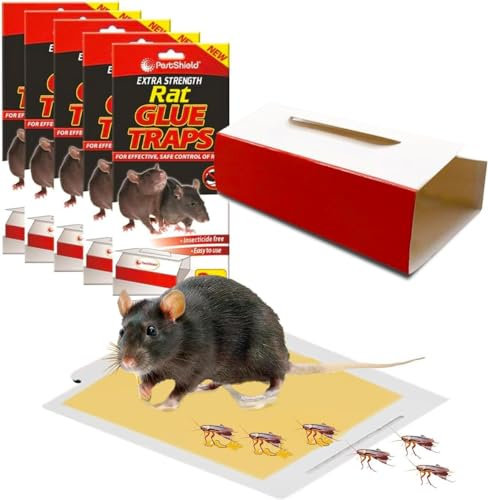Avilia Lot de 10 pièges verrouillables pour Souris, Insectes, cafards, Taupes, Geckos et rongeurs - sûrs et sans poisons, faciles à Utiliser pour l'intérieur et l'extérieur, Protection Efficace pour