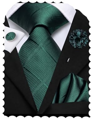 Hi-Tie Forest Green Ties for Men Silk Checks Men's Tie and Pocket Square Cufflinks Lapel Pin Set Formal Business Necktie