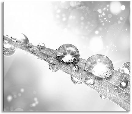 Wassertropfen auf Grashalm Herdabdeckplatte & Spritzschutz aus Echtglas | Für Herd-Kochfelder | 60x52 cm