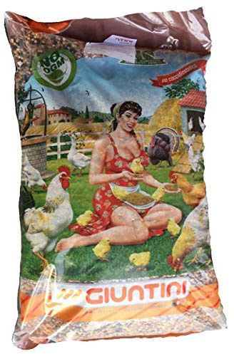 Giuntini linea Agri Misto Piccioni 25kg mangime proteico per colombi