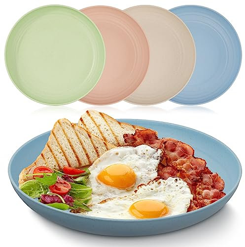 Chuboir Unbreakable Dinner Plates Set, Set of 4 Plastic Plates, 9 Inch Lightweight and Reusable Plates Perfect for Party, Picnics, Camping Home, Office, Microwave and Dishwasher Safe