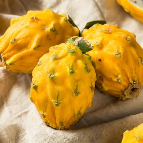 20 piezas semillas de plantas de fruta del dragón, Camas elevadas para el jardín, decoración de jardín para exterior. Fruta columnar resistente, fácil de plantar. semillas de frutas,