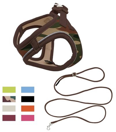 Qianruida Geschirr und Leine für Katze oder Welpe – Verstellbares Set aus weichem Nylon, sicherer Komfort für Gehen, Training, Outdoor, Kleintiere, einfach an- und auszuziehen, Camouflage, S