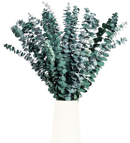 12 Piezas Eucalipto Secado Naturales Flores Secas de 45cm, Eucalipto Preservado Secas, Flores Preservadas Naturales para Decoración de Casas, Fiestas, Bodas, Hogar, Baño, Arreglos Florales