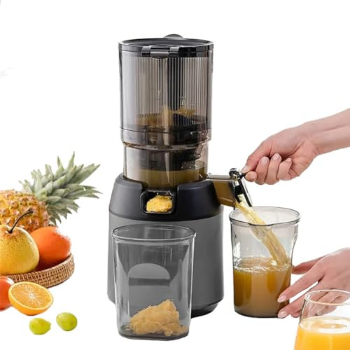 MZBDYYF Masticating Juicer Machine with 13cm Feeding Chute - Professional 300W Cold Press Fruit Juicer for Fruits Vegetables - Portable Pomace Separation Juicer (Gray)