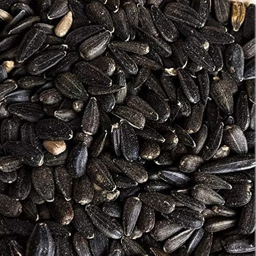 Leagrams Black Sunflower Seeds for Wild Birds (12.55kg) - Rich in Protein & Oil, High-Energy Bird Food
