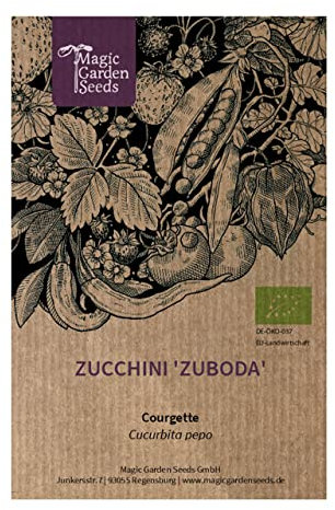 Zucchina 'Zuboda' (Cucurbita pepo) biologica - circa 10 semi