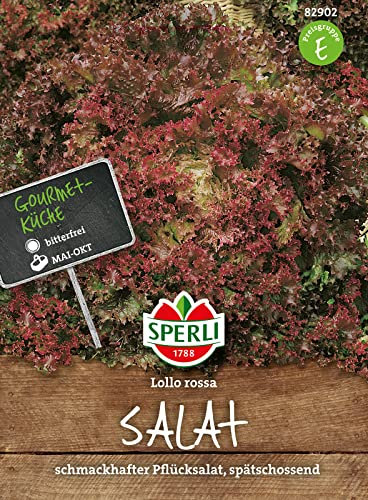 82902 Sperli Premium Lollo Rosso | Salat Samen | Pflücksalat Samen | Schnittsalat Samen | Salatsamen
