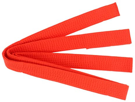 Courtieyeardceastea Cinturón de taekwondo para karate, artes marciales, aikido, doble envoltura, naranja, 280 x 3,85 cm