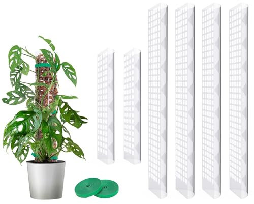 MIXC Moosstab Rankhilfe Zimmerpflanzen 4 Stück 61cm und 2 Stück 38cm Pflanzstab Plastik Pflanzenstütze mit 3m Pflanzenbänder Klett für Monstera Kletterpflanzen