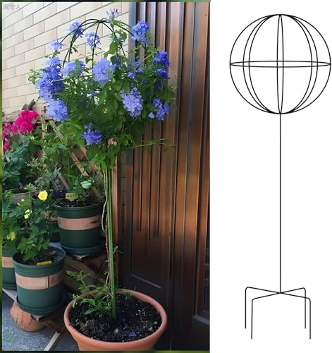 Hög smidesjärn växtspaljé – 95/130/155 cm utomhus sfärisk klättringsstöd för trädgård – perfekt för Klematis-jasmin och rosväxter (35 x 130 cm)