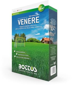 Bottos semente Venere ideale per le trasemine del tuo prato