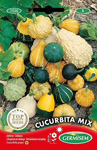 Germisem Graines Coloquintes en mélange CUCURBITA MIX EC1520 Multicolore
