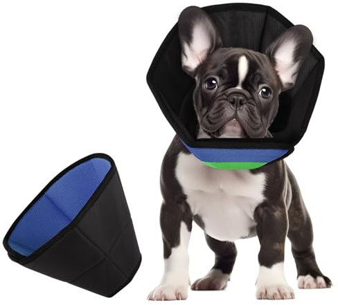 CITÉTOILE Halskrause Hund, Bequem Schutzmaßnahmen Schutzkragen Hund, Einstellbar Hundekragen, Vorbeugung von Biss- und Halskrause Leckwunden, Blaugrün, S