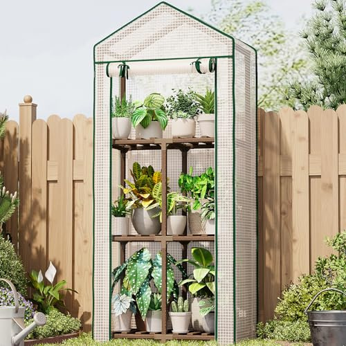Bamworld Serre de Jardin Mini Serre de Jardin à 3 Niveaux Mini Serre Portable avec Couverture PE et Cadre Eucalyptus pour Balcon Terrasse Protection Hivernale
